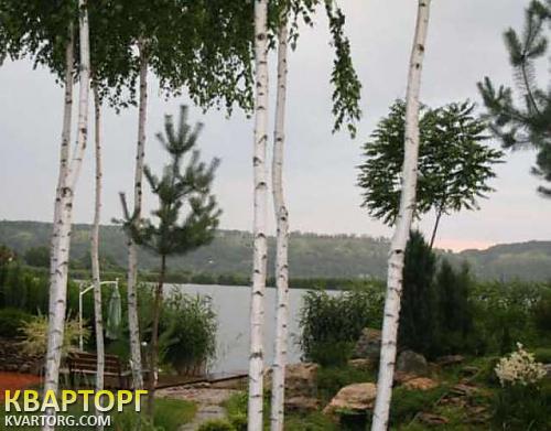 Rent out house. Киевская обл., Новые Безрадичи — photo 7