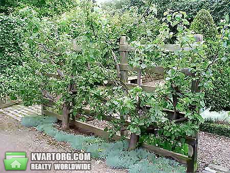 Sell house. Киевская обл., САДОВАЯ — photo 8