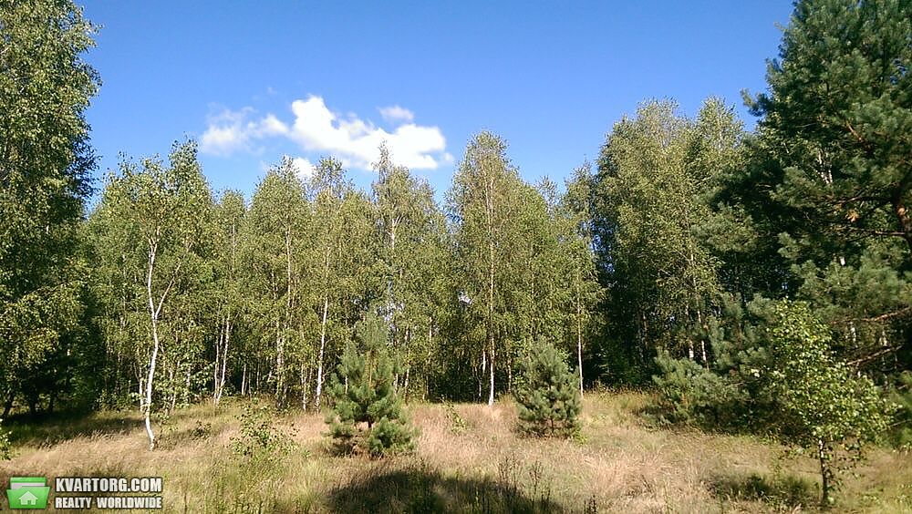 Sell house. Вышгород, Братьев Тимошекно — photo 7