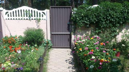 Sell house. Киевская обл., Полевая — photo 8