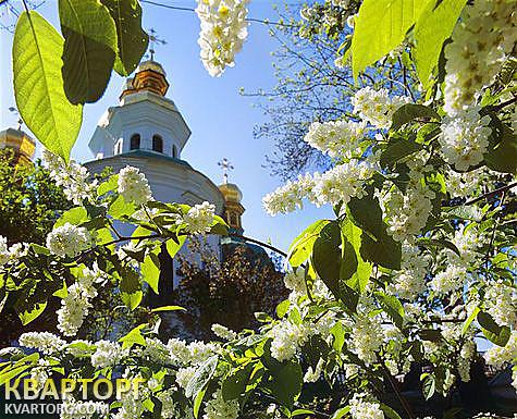 Sell 2-room apartment. Киев,  Малышко — photo 1