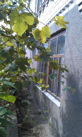 Sell house. Киев, 7-а, Лучистая — photo 3