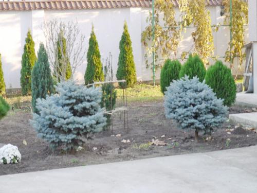 Sell house. Одесса, Цветочная — photo 10