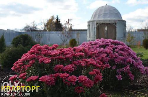 Rent out house. Киевская обл., Одесская трасса — photo 8