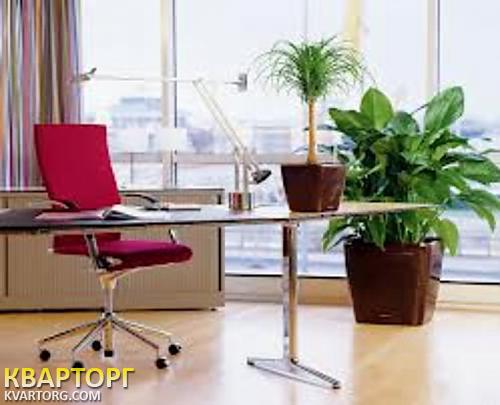 Rent out office. Киев, Андрющенко Григория — photo 1