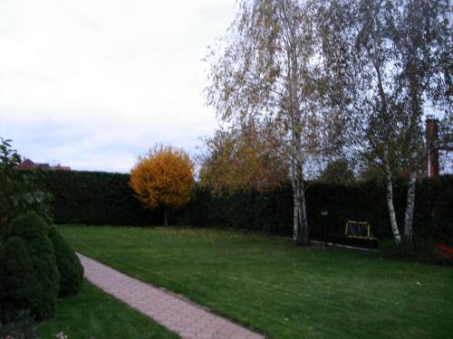 Sell house. Киевская обл., Малая Александровка — photo 8