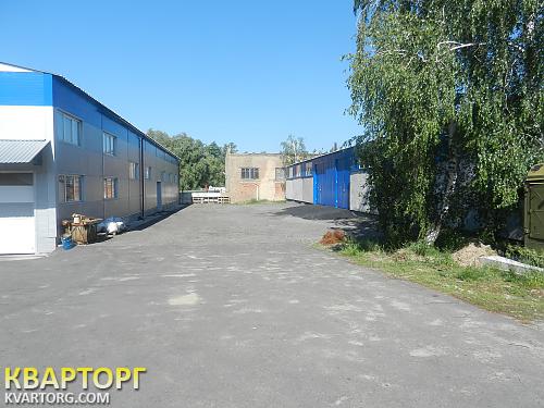 Rent out warehouse. Киев, поселок Дмитровка — photo 3