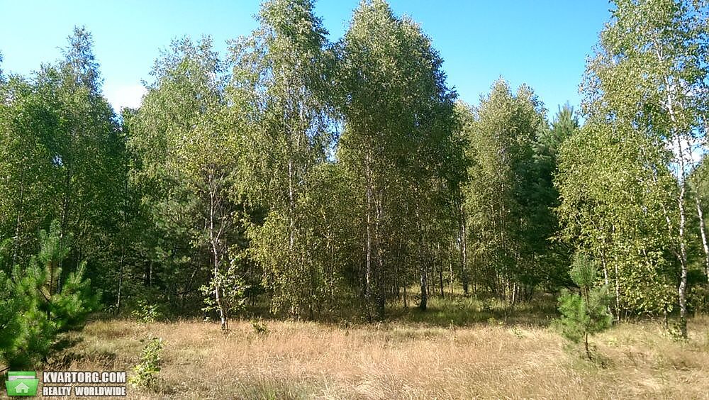 Sell house. Вышгород, Братьев Тимошекно — photo 8