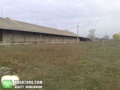 Rent out warehouse. Черкассы, Жовтнева — photo 7