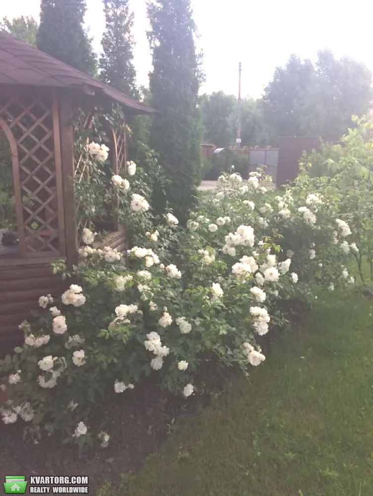Rent out house. Киевская обл., Подгорцы — photo 2