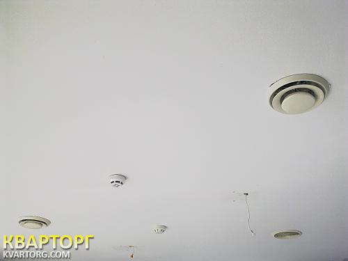 Rent out office. Киев,  Победы пр — photo 5