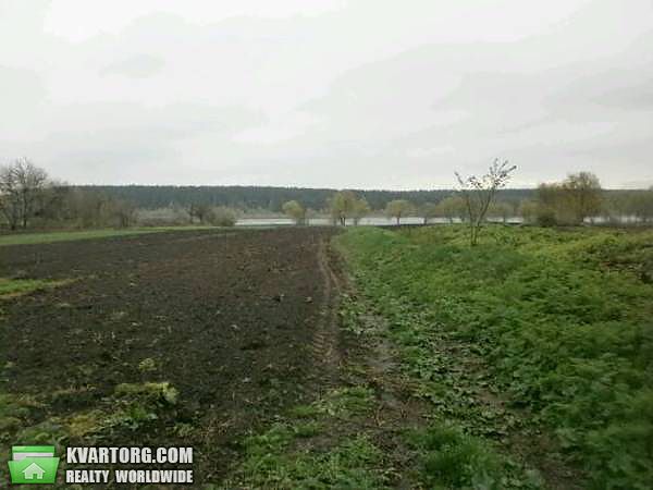 Sell house. Киевская обл., Матвеиха — photo 3