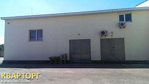 Rent out warehouse. Киевская обл., счастливое — photo 1