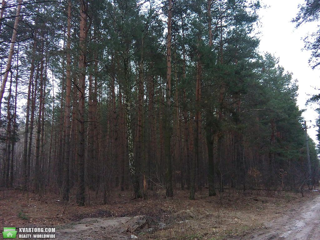 Sell house. Киев, Боровая — photo 3