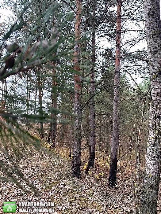 Sell house. Киевская обл., Лесная — photo 2