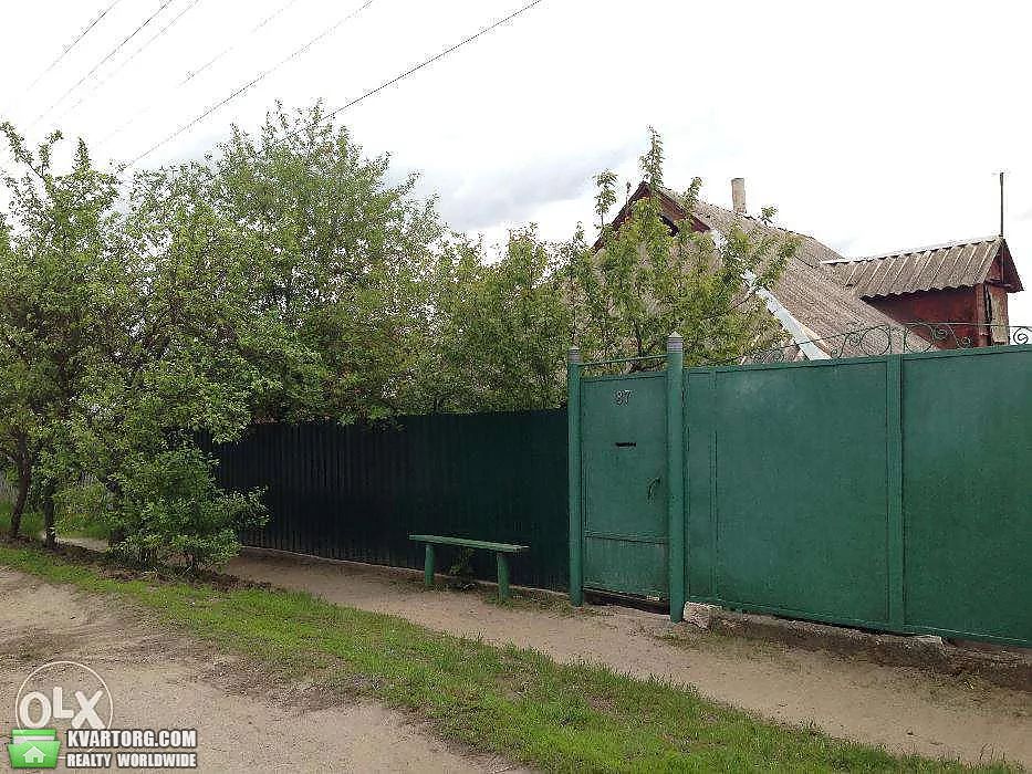 Sell house. Сумская обл., Октябрьская — photo 1