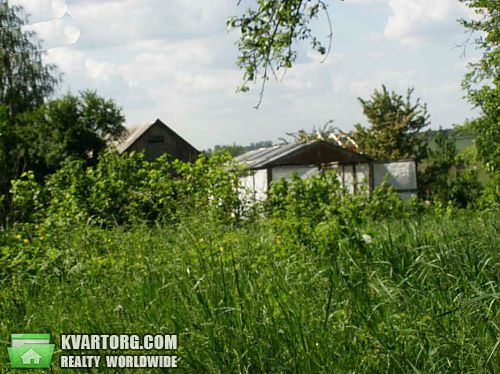 Sell house. Киевская обл., Жеревпилья — photo 2