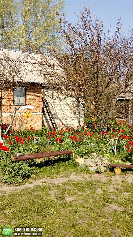 Sell house. Полтава,  Луговая — photo 6