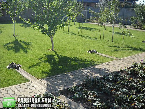 Sell house. Киевская обл., Садовая — photo 5