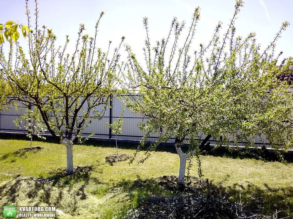 Sell house. Одесса, Степная — photo 5