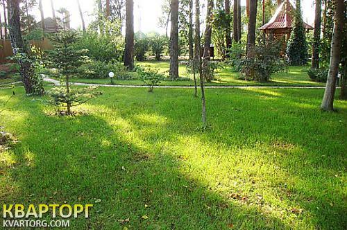 Rent out house. Киевская обл., Романков — photo 2