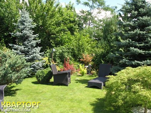 Rent out house. Киевская обл., Новые Безрадичи — photo 9