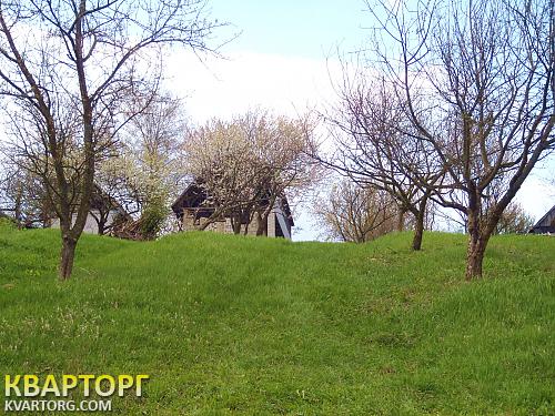 Sell house. Киевская обл., с.Демивщина — photo 5