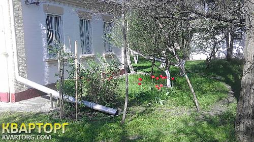 Sell house. Киевская обл., Шевченко — photo 2