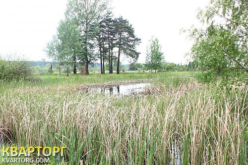 Sell house. Киевская обл., окраина — photo 7
