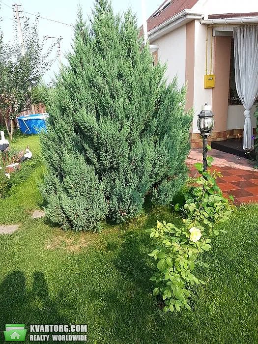 Sell house. Киевская обл.,  Садовая — photo 6