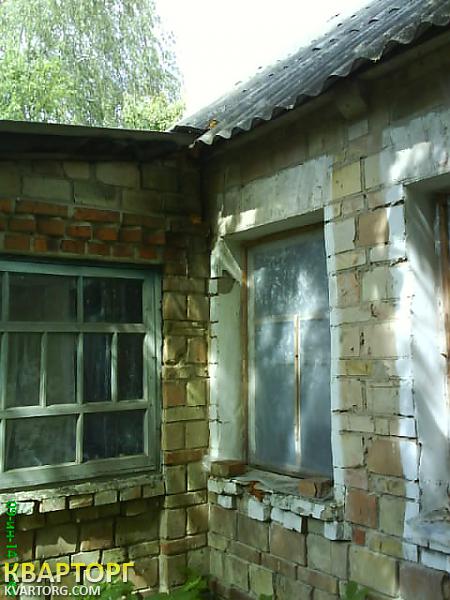 Sell house. Киевская обл., Довгыча — photo 8
