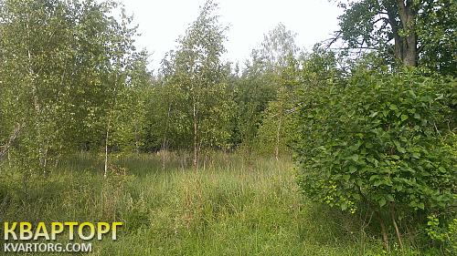 Sell house. Киевская обл., главная — photo 3