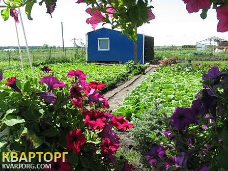Sell house. Киевская обл., Митница — photo 4