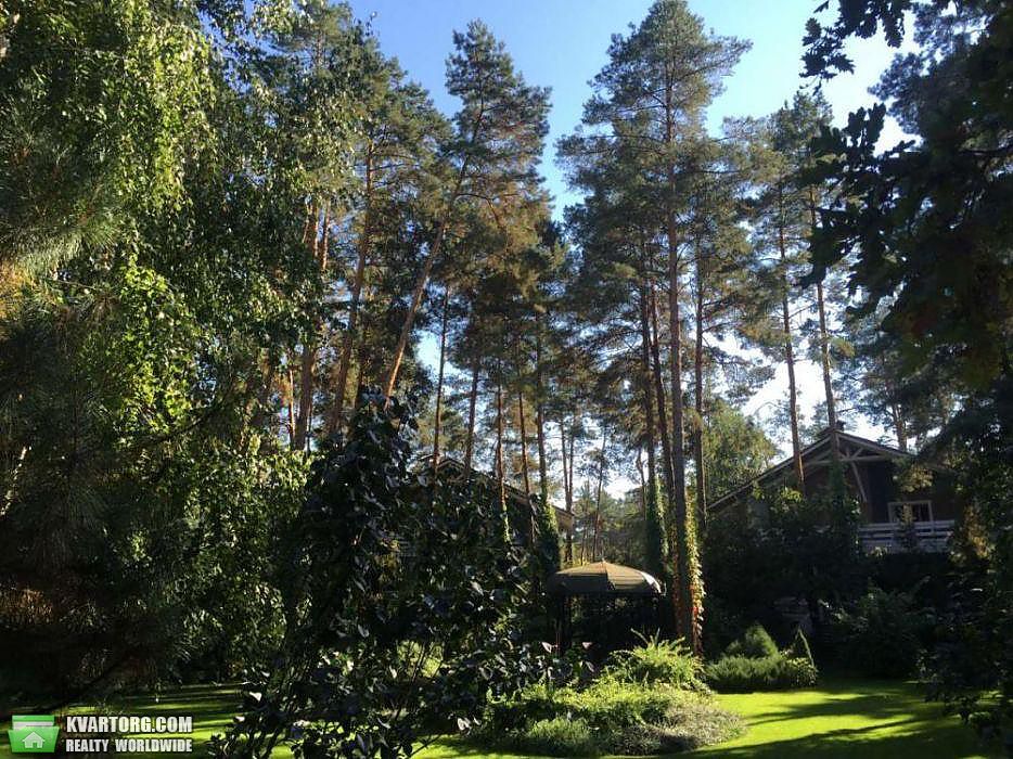 Rent out house. Киевская обл.,  Лесная — photo 8