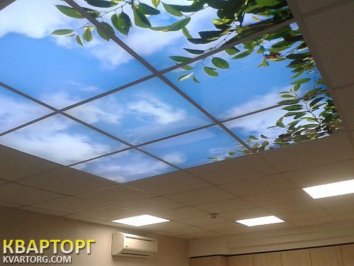Rent out office. Киев, Проспект Победы — photo 9