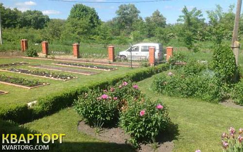 сдам дом. Киев,  Гореничи 2 км - фото 7
