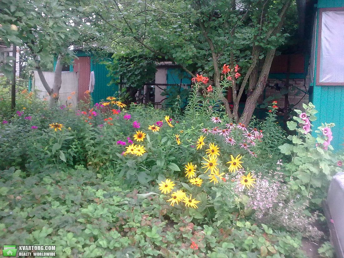 Sell house. Киевская обл., Садовая — photo 5