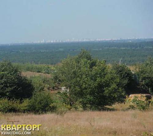 Sell house. Киевская обл., Деревяная — photo 4