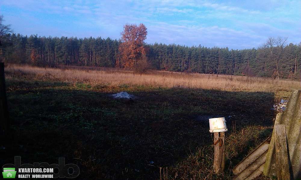 Sell house. Киевская обл., Скригалевка — photo 5