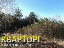 Sell house. Киевская обл., Нещеров — photo 7