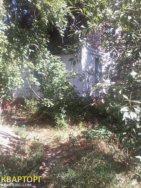 Sell house. Киевская обл., личанка — photo 4