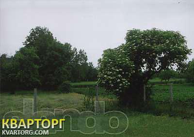 Sell house. Киевская обл., с.Любча — photo 3