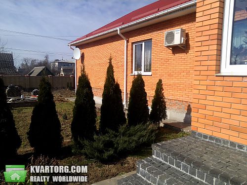 Sell house. Киевская обл., Ленина — photo 3