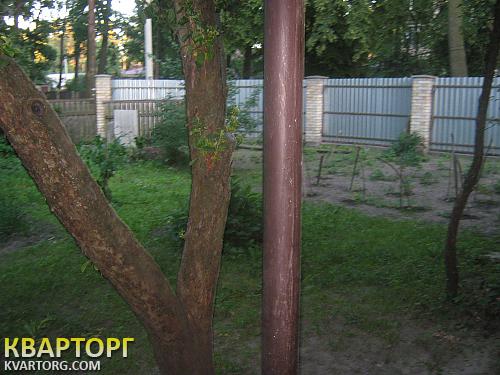 Rent out house. Киевская обл., 9 ая линия — photo 7