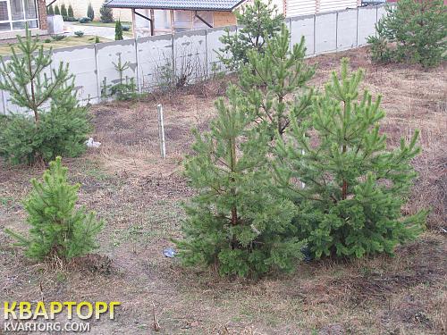 Sell house. Киев, Николаевка 17 км от Киева — photo 8