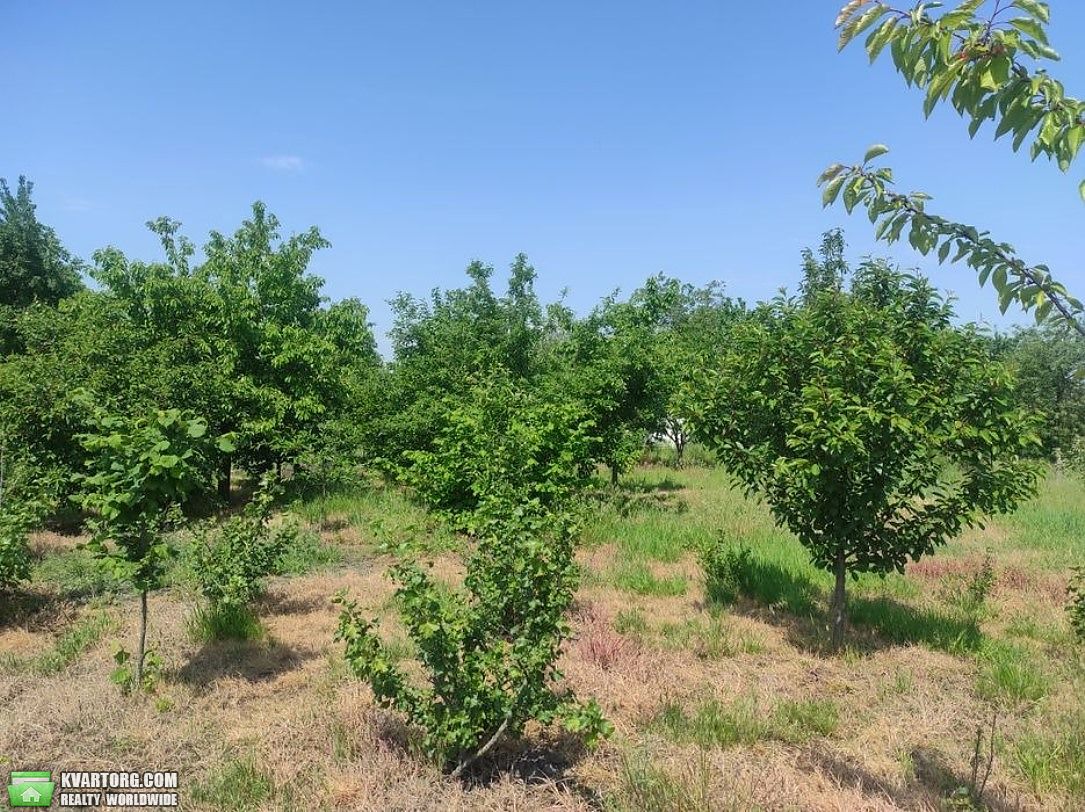 Sell house. Киевская обл., Великі Прицьки — photo 8