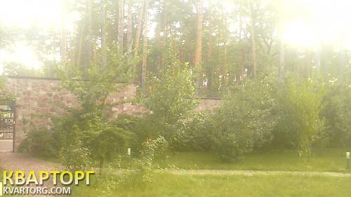 Sell house. Киевская обл., главная — photo 1