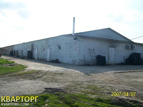 Sell warehouse. Чернигов, Ерков — photo 4