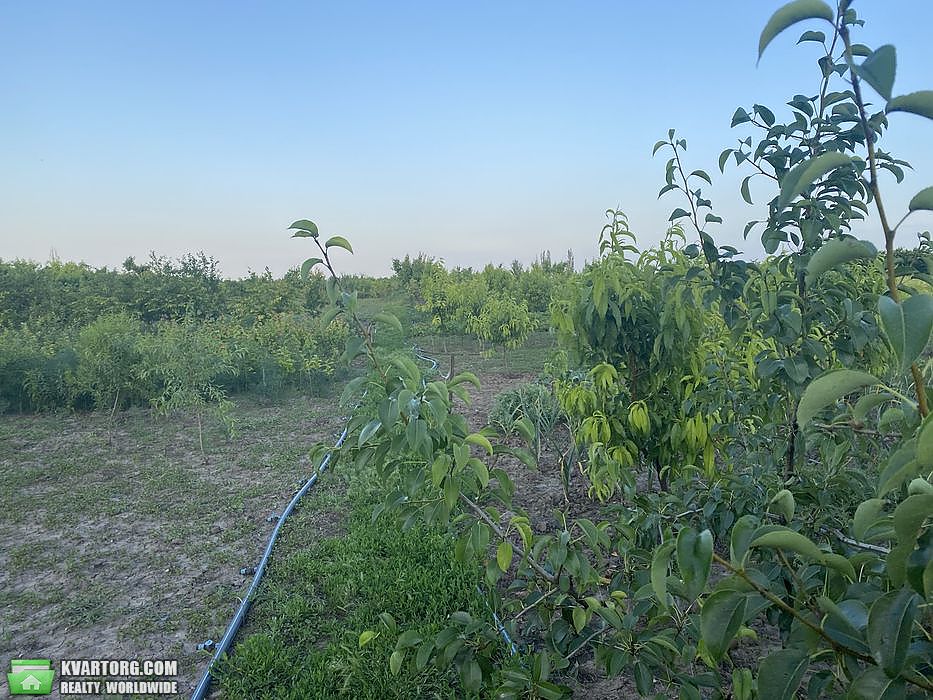Sell house. Запорожье, польова — photo 9