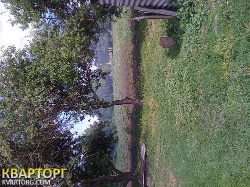 Sell house. Киевская обл., c.Безугловка — photo 2